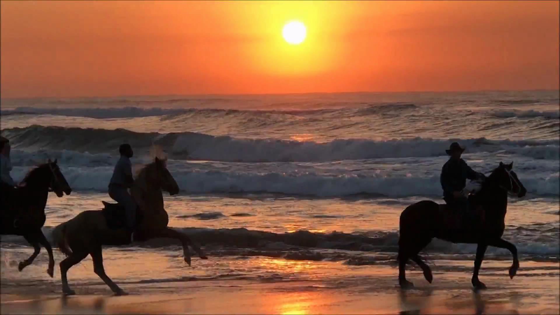 Beach rides – Garys Beach Rides